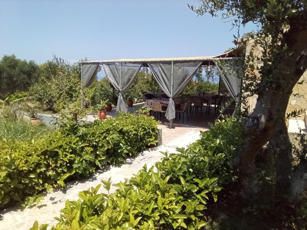 Panorama *