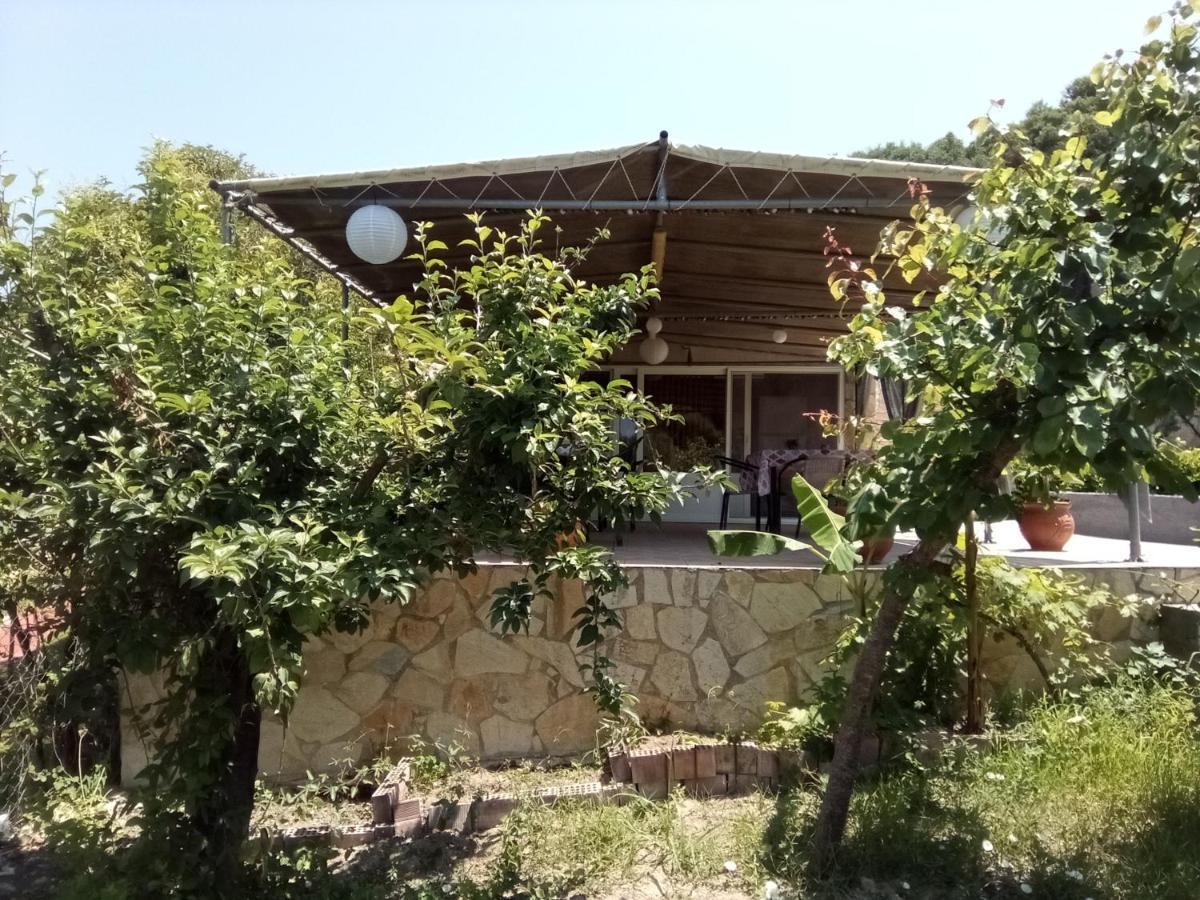 Apartment Panorama